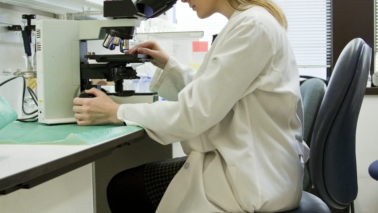 Atelier de médiation scientifique avec le public